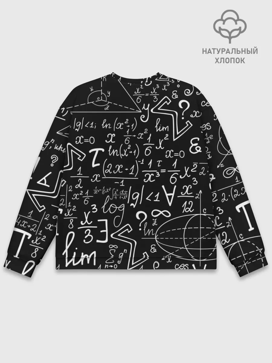 Мужской свитшот базовый / ФОРМУЛЫ ФИЗИКА ЛЯМБДА