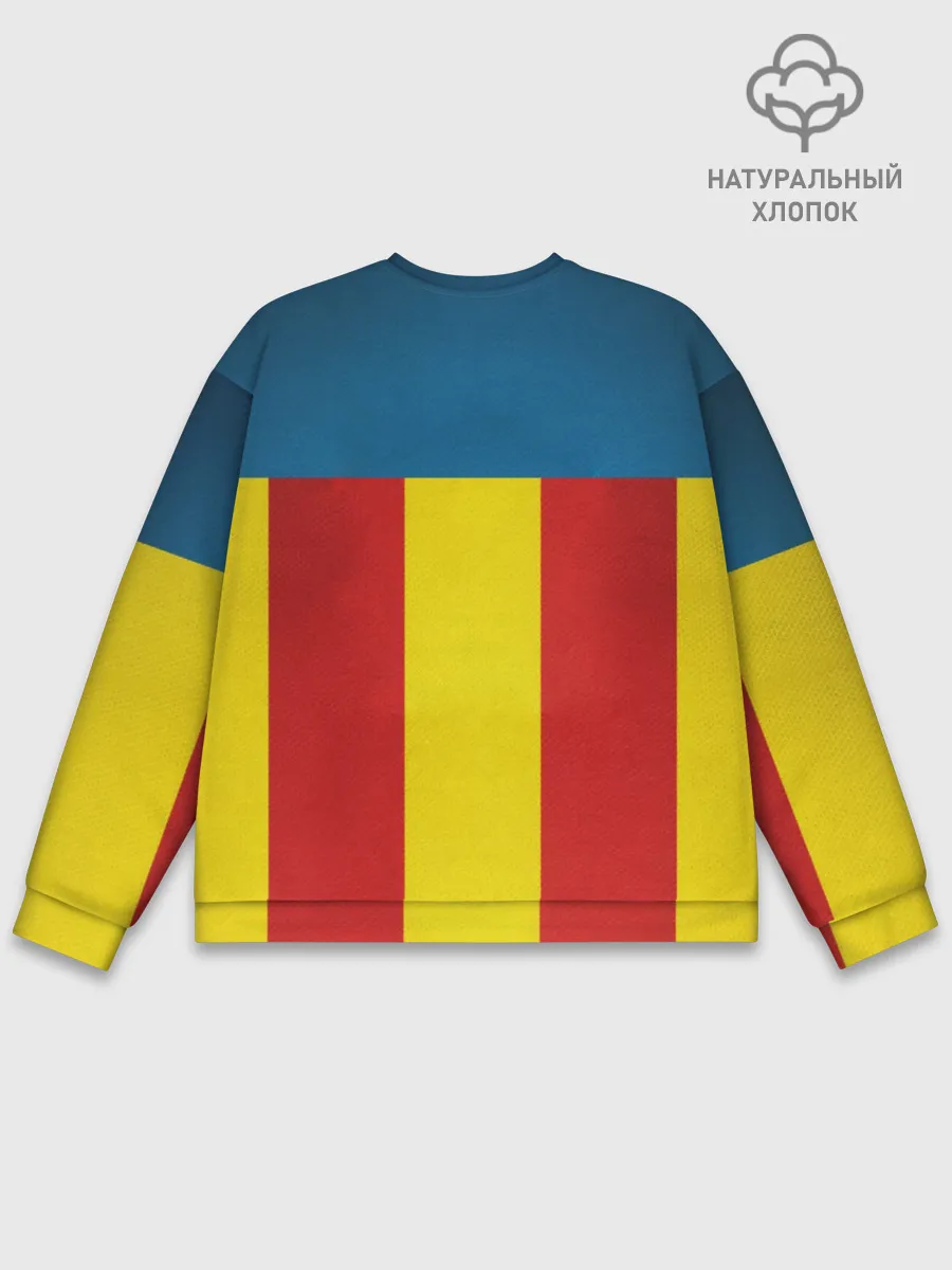 Мужской свитшот базовый / Валенсия ФК