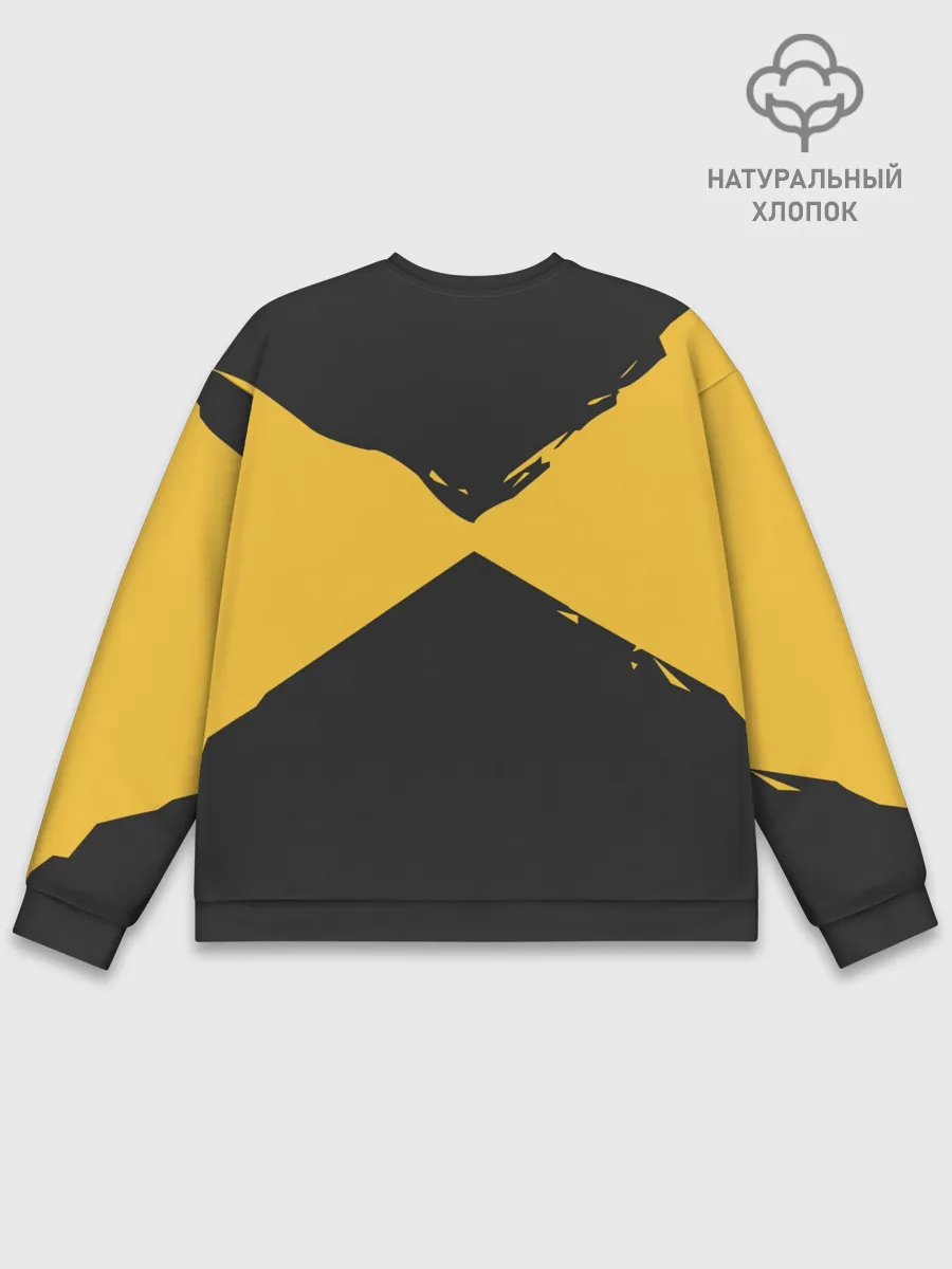 Мужской свитшот базовый / R6S IQ