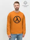 Мужской свитшот базовый / Half-Life