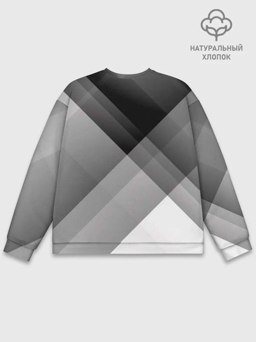 Мужской свитшот базовый / Геометрия