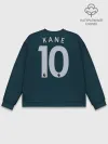 Мужской свитшот базовый / Kane alternative 18-19