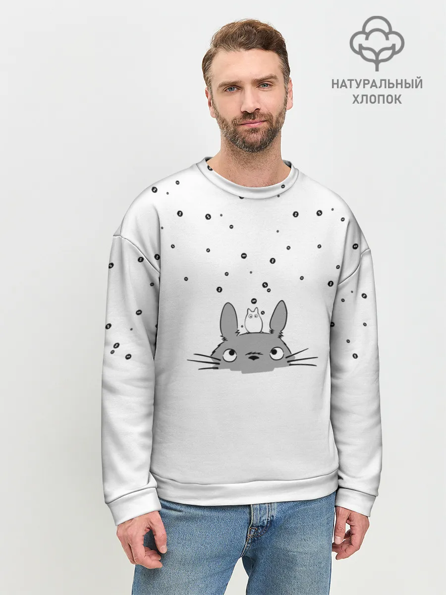 Мужской свитшот базовый / Totoro The Rain