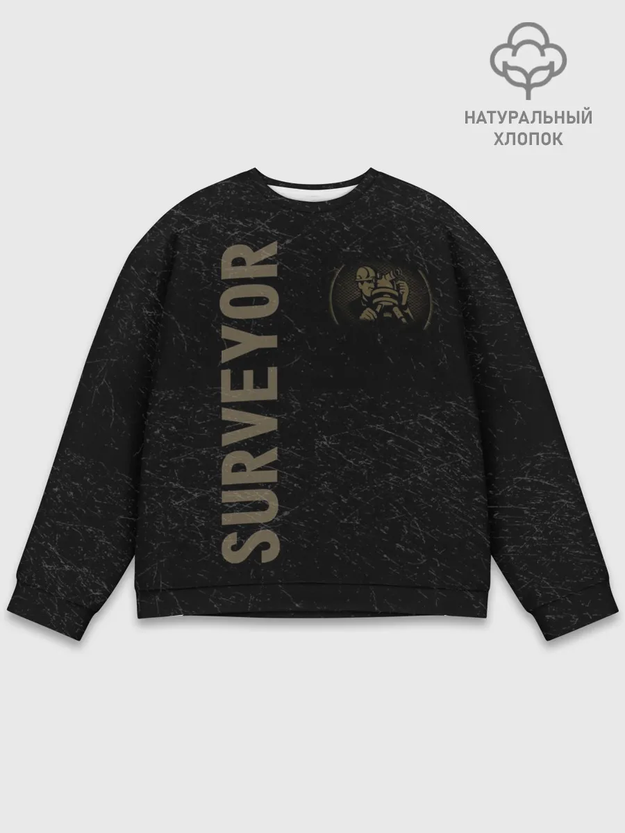 Мужской свитшот базовый / Геодез