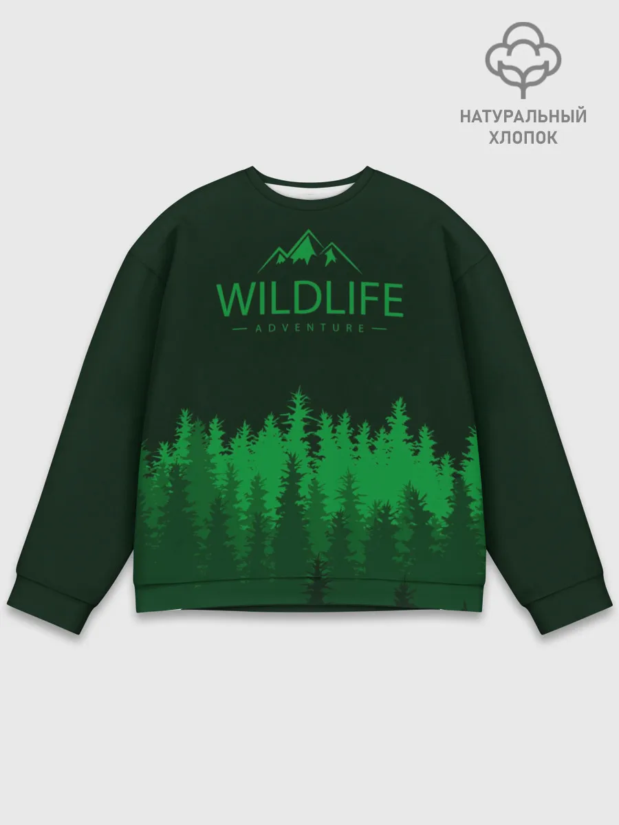 Мужской свитшот базовый / adventure