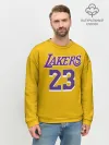 Мужской свитшот базовый / James 18-19 LA Lakers home