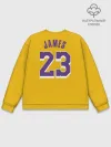 Мужской свитшот базовый / James 18-19 LA Lakers home