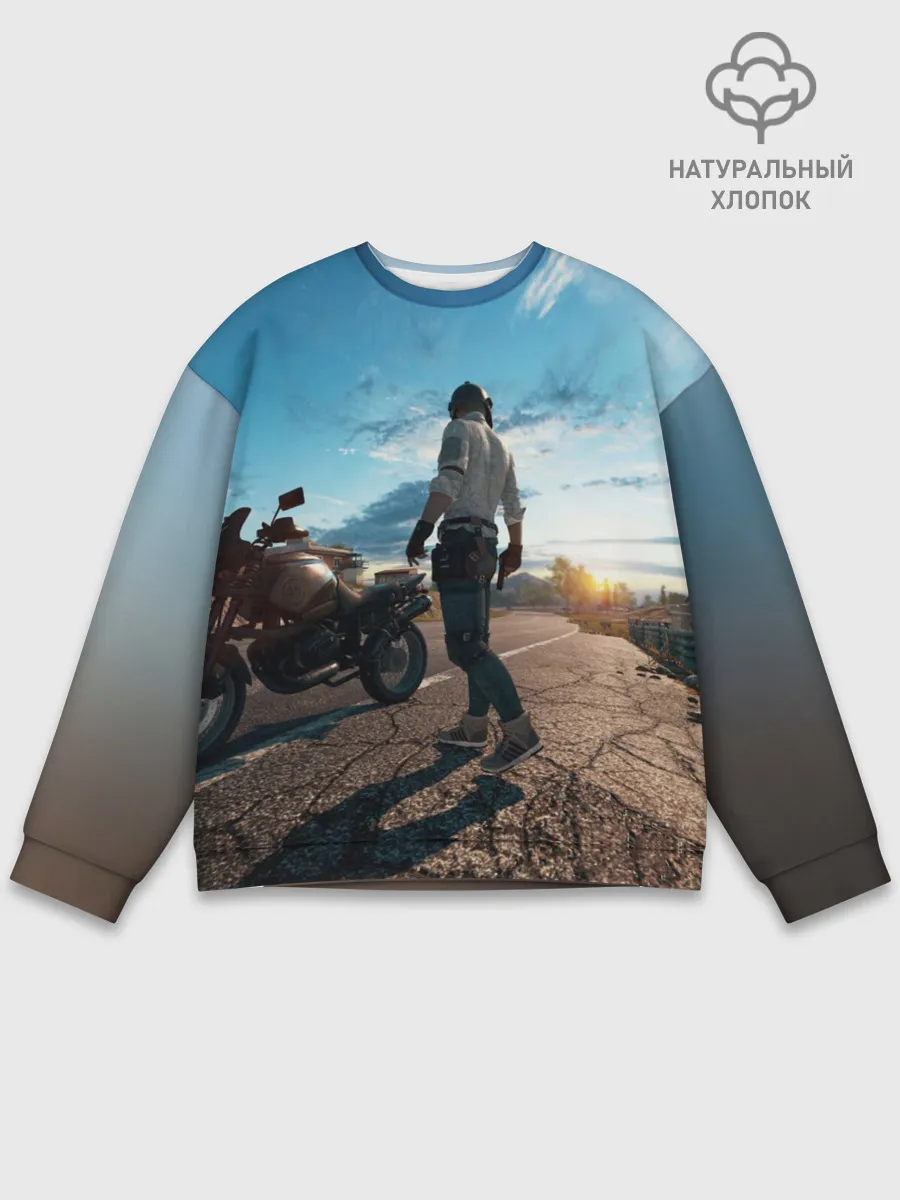 Мужской свитшот базовый / PUBG