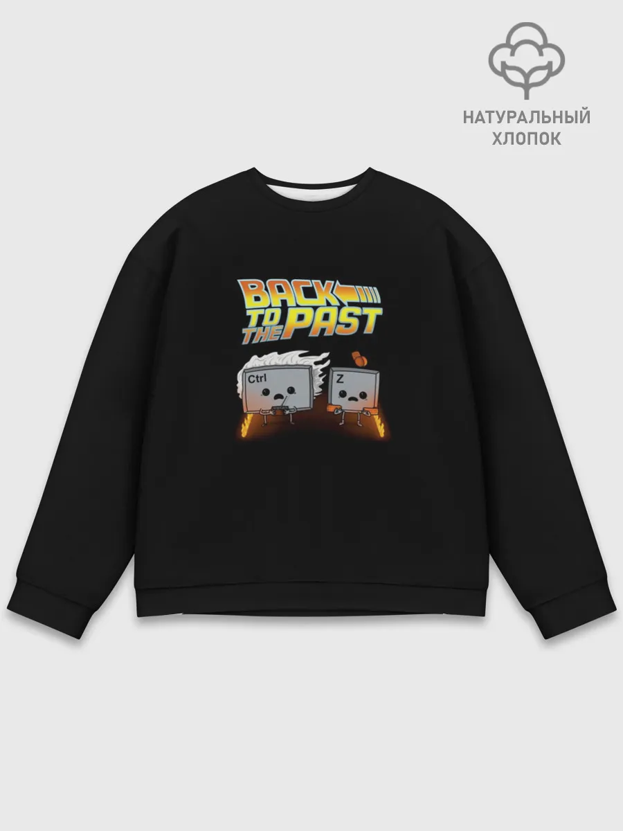 Мужской свитшот базовый / Back To The Past