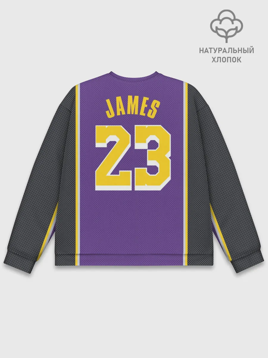 Мужской свитшот базовый / James LA Lakers 2019