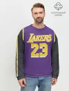Мужской свитшот базовый / James LA Lakers 2019