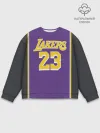 Мужской свитшот базовый / James LA Lakers 2019