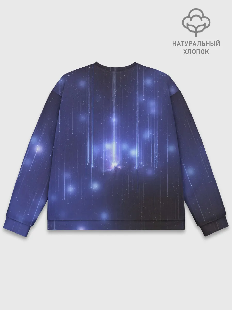 Мужской свитшот базовый / Космический Волк