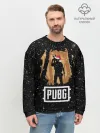 Мужской свитшот базовый / Новогодний PUBG