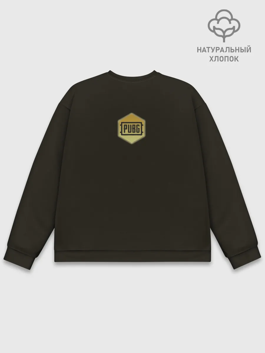 Мужской свитшот базовый / PUBG