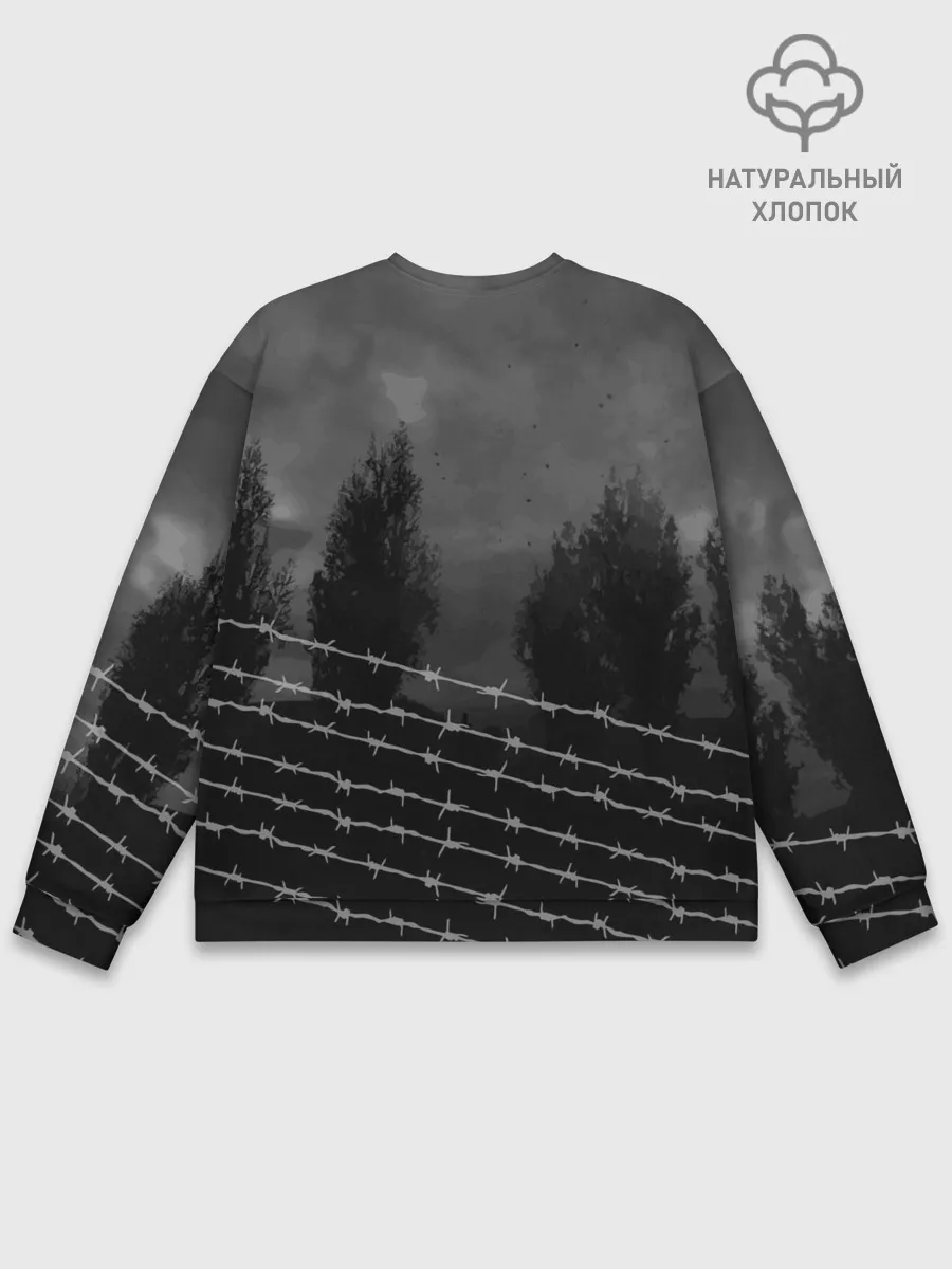 Мужской свитшот базовый / Stalker 2