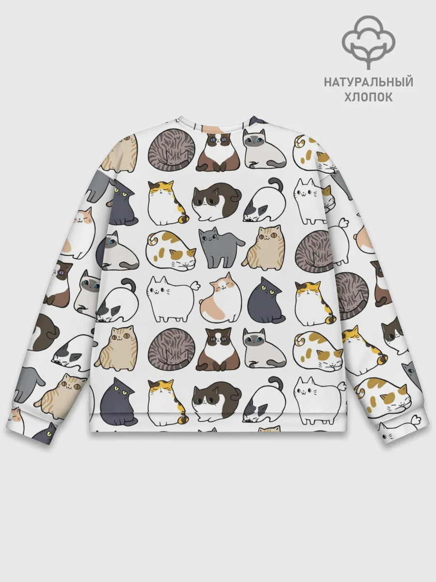 Мужской свитшот базовый / Котики