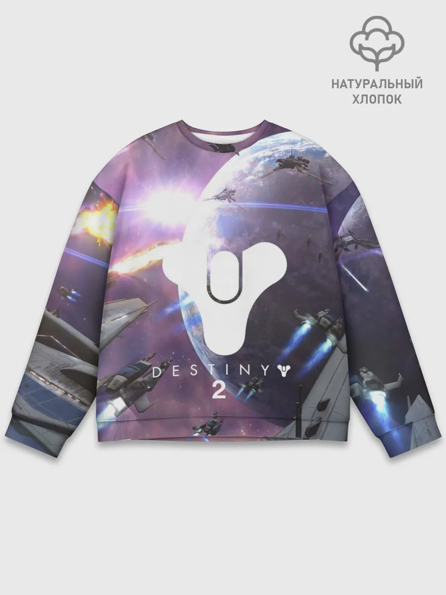 Мужской свитшот базовый / DESTINY 2