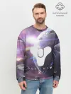 Мужской свитшот базовый / DESTINY 2