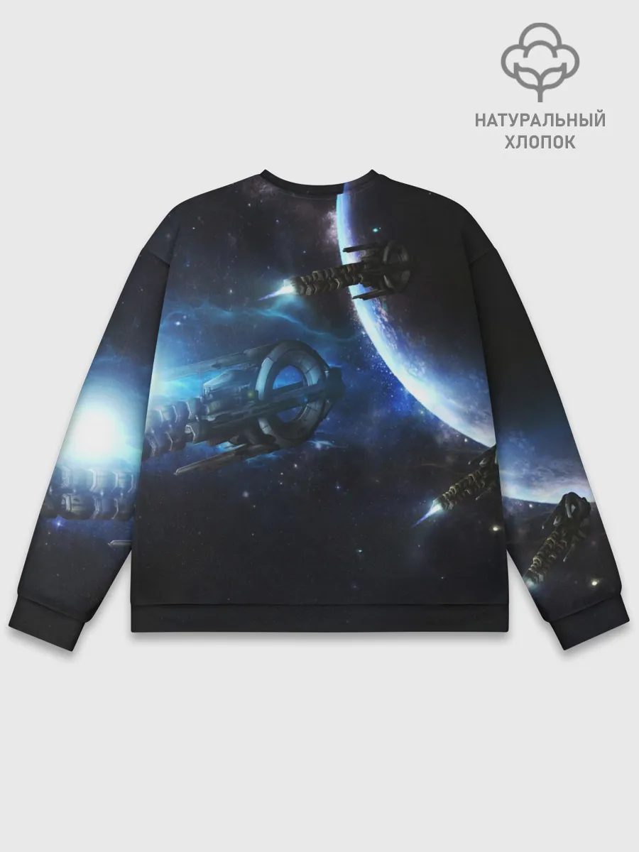 Мужской свитшот базовый / DESTINY 2