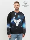 Мужской свитшот базовый / DESTINY 2