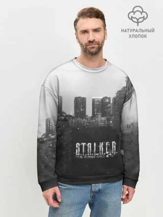 Мужской свитшот базовый / Stalker