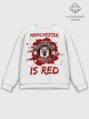 Мужской свитшот базовый / Манчестер Юнайтед