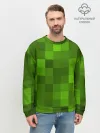 Мужской свитшот базовый / Minecraft