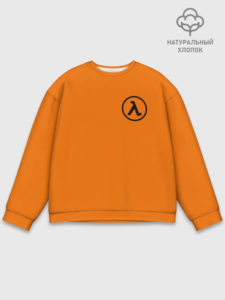 Мужской свитшот базовый / HALF-LIFE