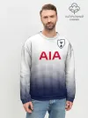 Мужской свитшот базовый / Тоттенхэм