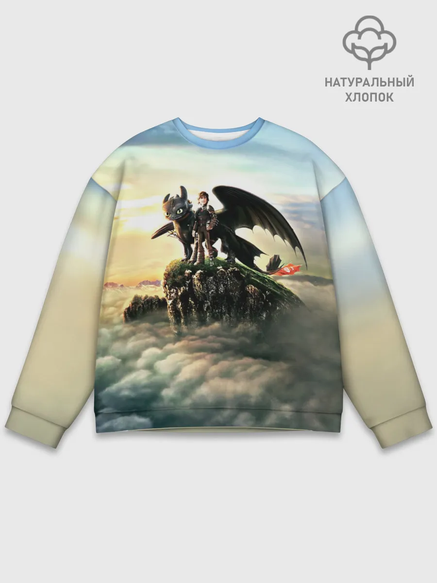 Мужской свитшот базовый / Как приручить дракона