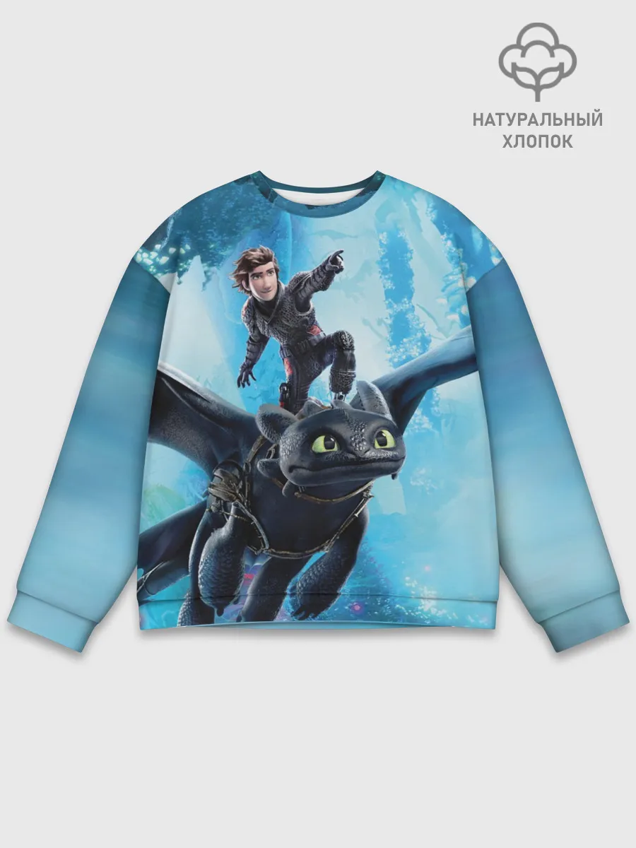 Мужской свитшот базовый / Как приручить дракона