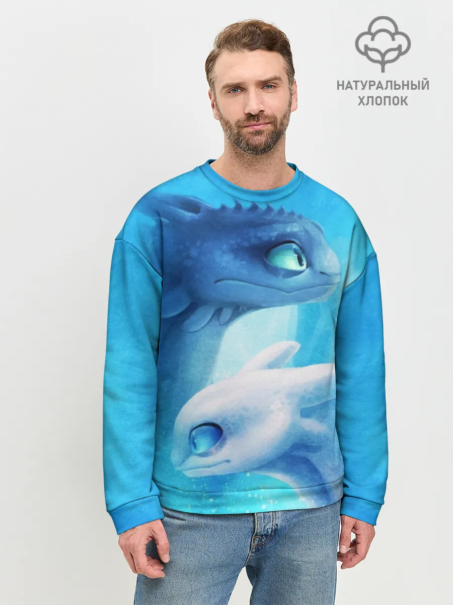 Мужской свитшот базовый / как приручить дракона