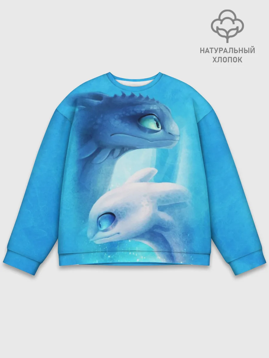 Мужской свитшот базовый / как приручить дракона