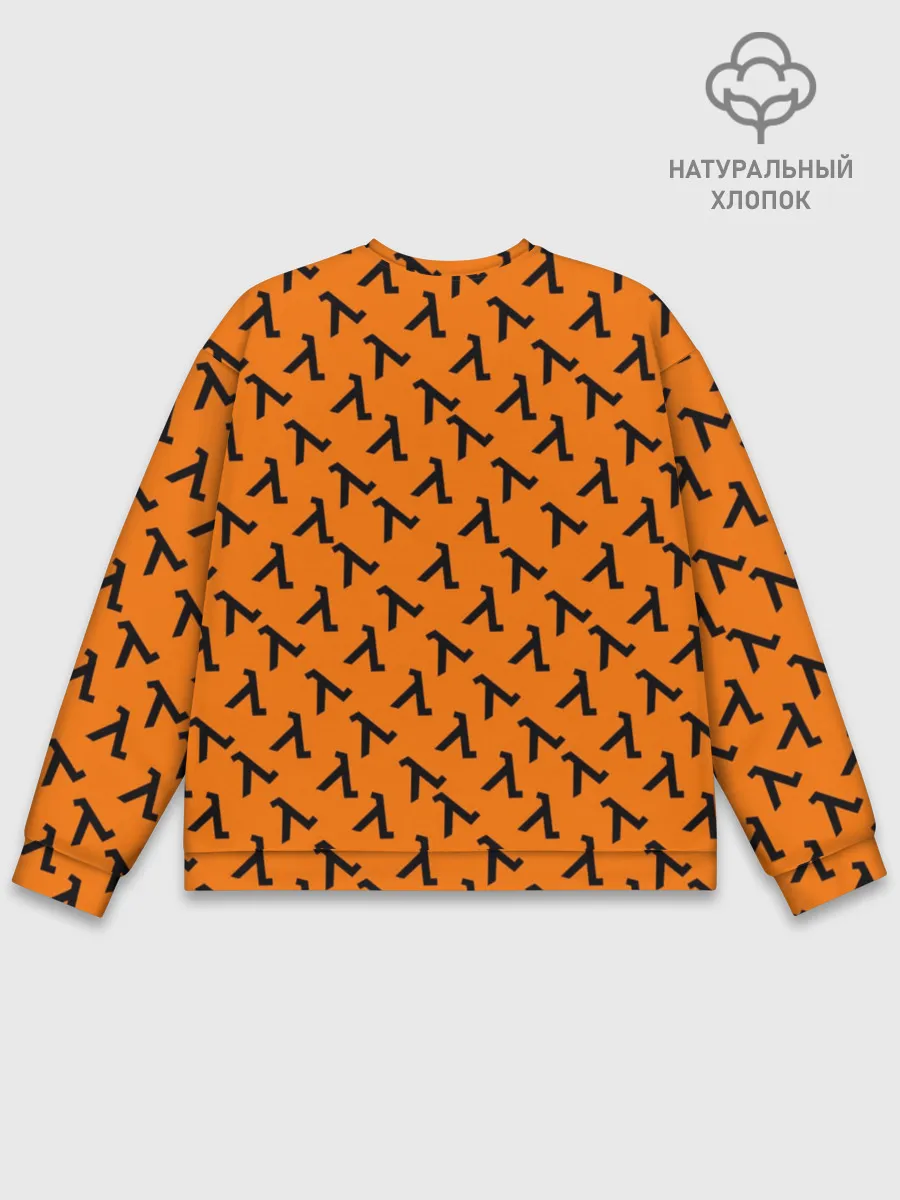 Мужской свитшот базовый / HALF-LIFE