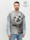 Мужской свитшот базовый / Котенок
