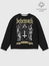 Мужской свитшот базовый / Behemoth