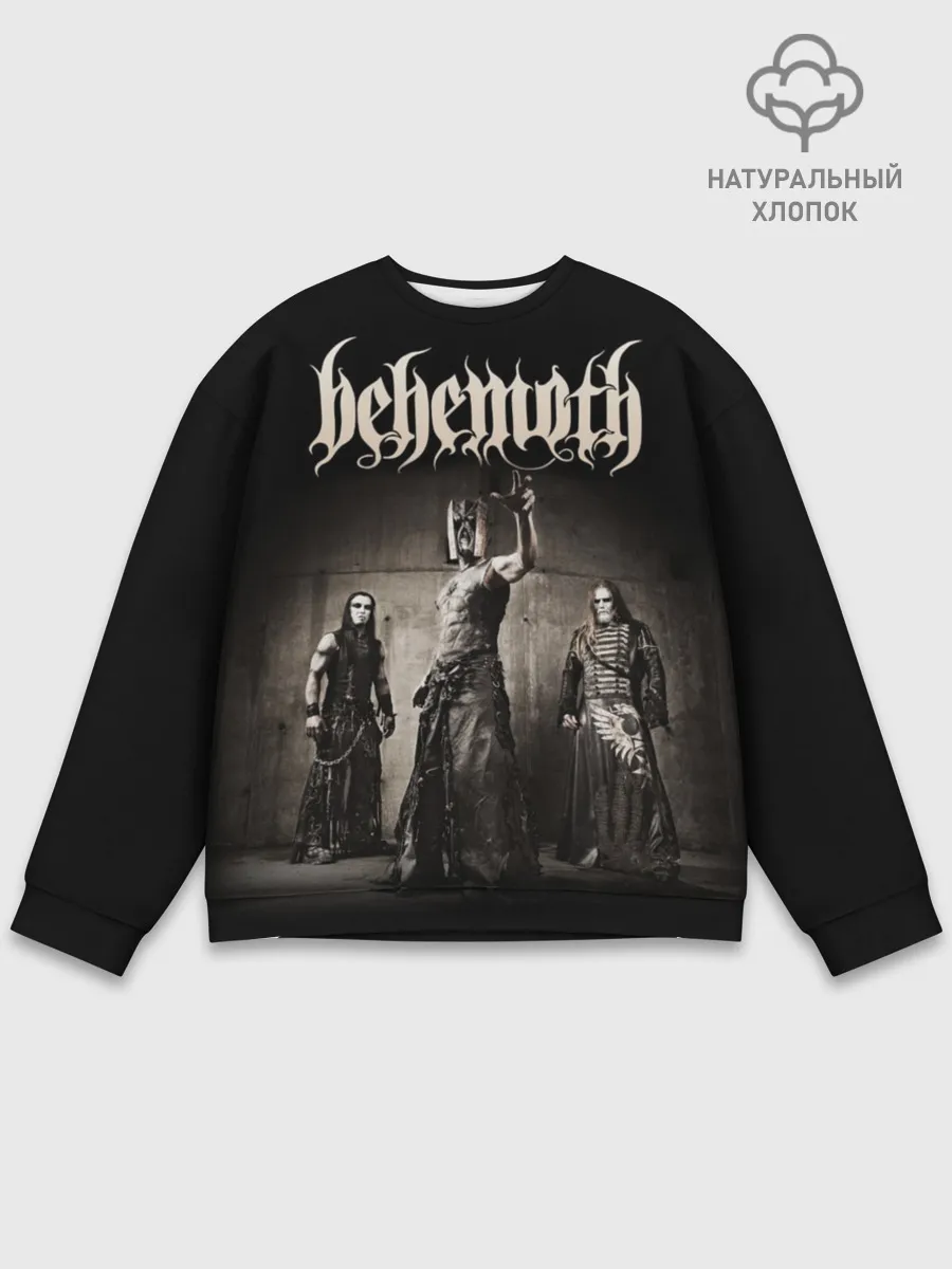 Мужской свитшот базовый / Behemoth