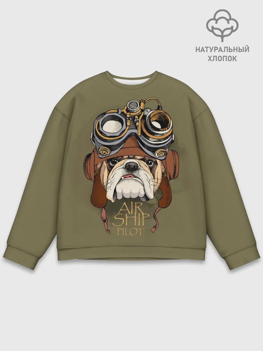 Мужской свитшот базовый / Air ship pilot