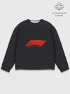 Мужской свитшот базовый / Formula 1 Logo