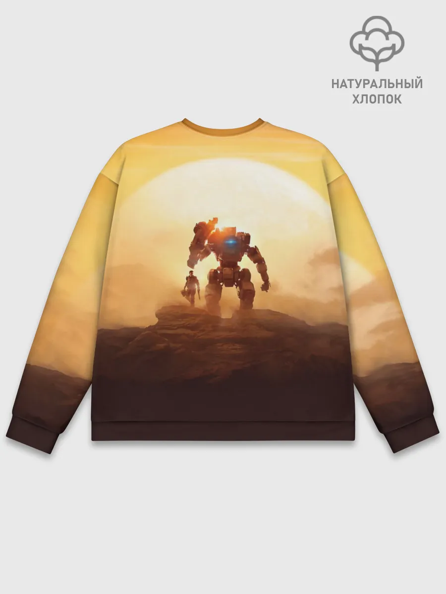 Мужской свитшот базовый / Titanfall
