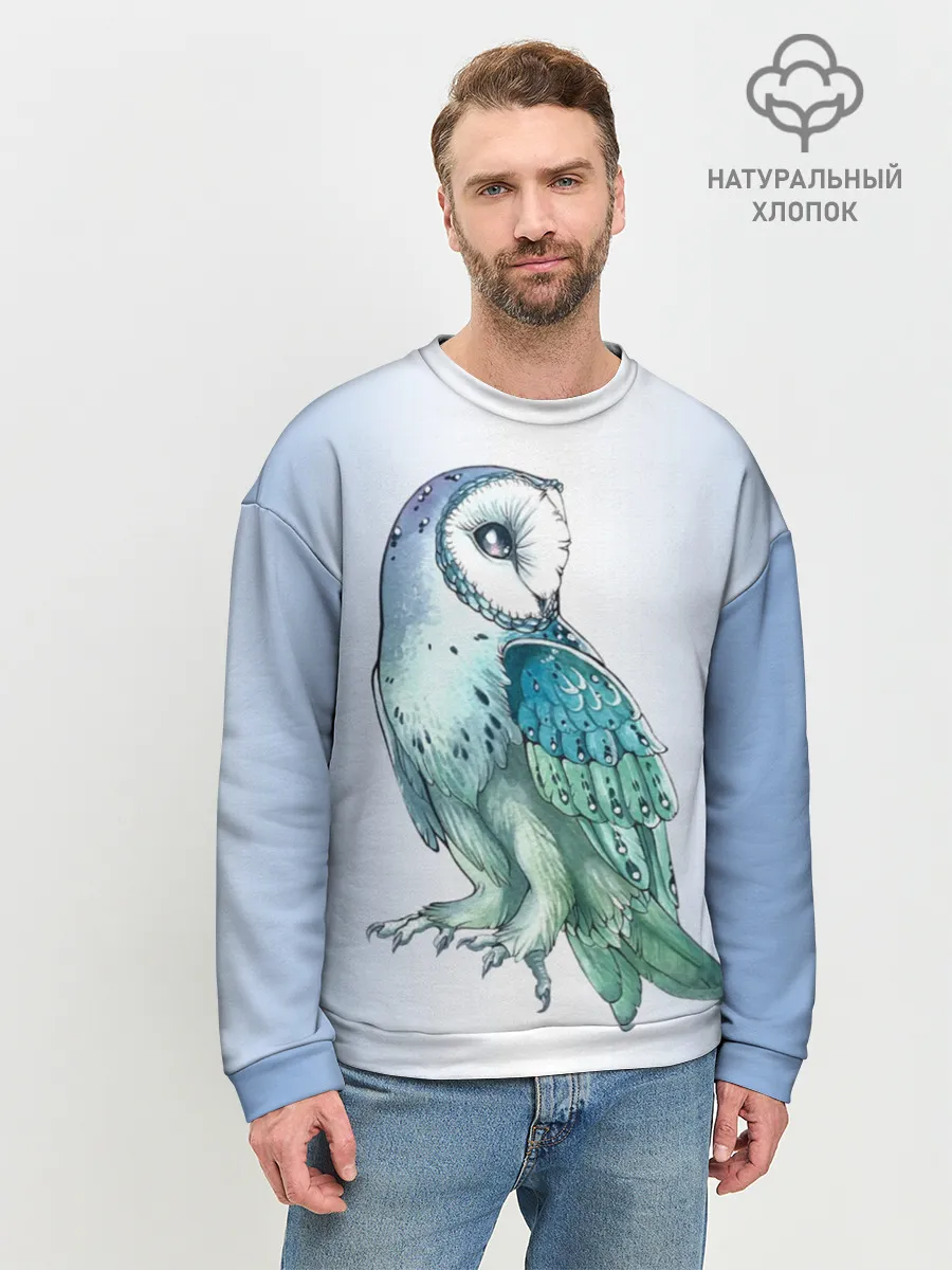 Мужской свитшот базовый / сова