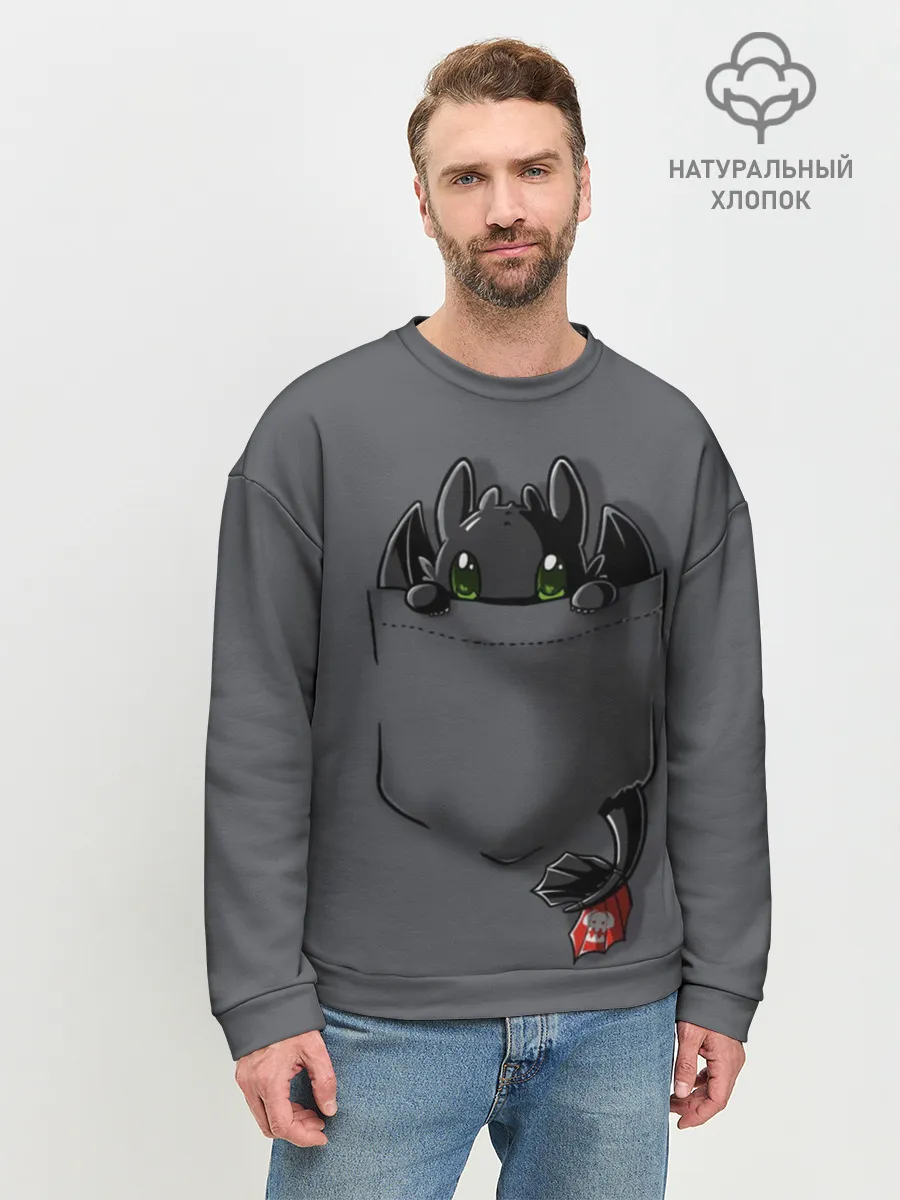Мужской свитшот базовый / Как приручить дракона