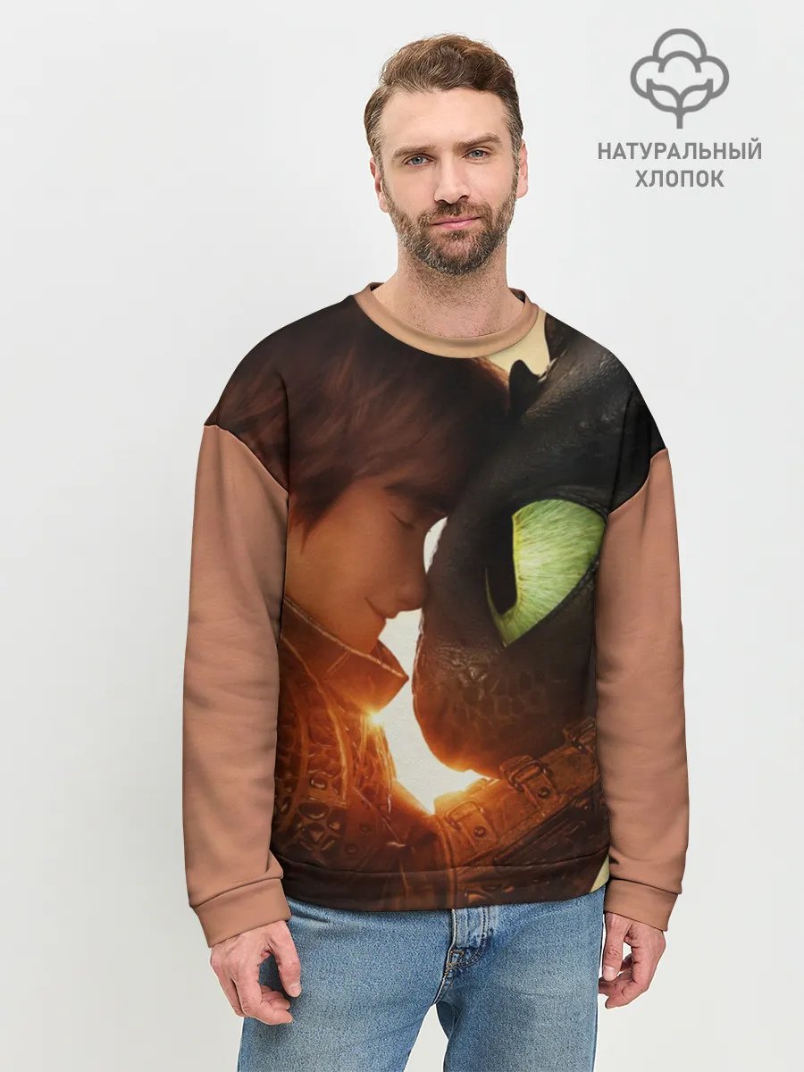 Мужской свитшот базовый / Как приручить дракона