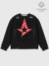 Мужской свитшот базовый / Astralis