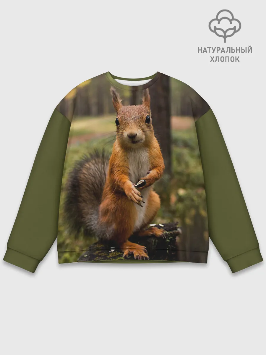 Мужской свитшот базовый / Белочка