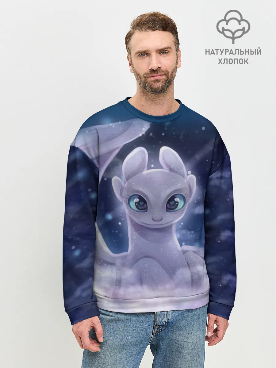 Мужской свитшот базовый / Как приручить дракона