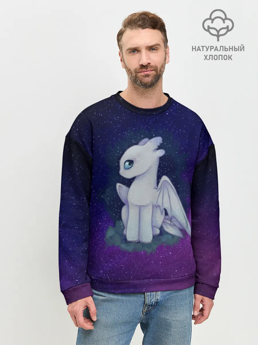 Мужской свитшот базовый / Как приручить дракона