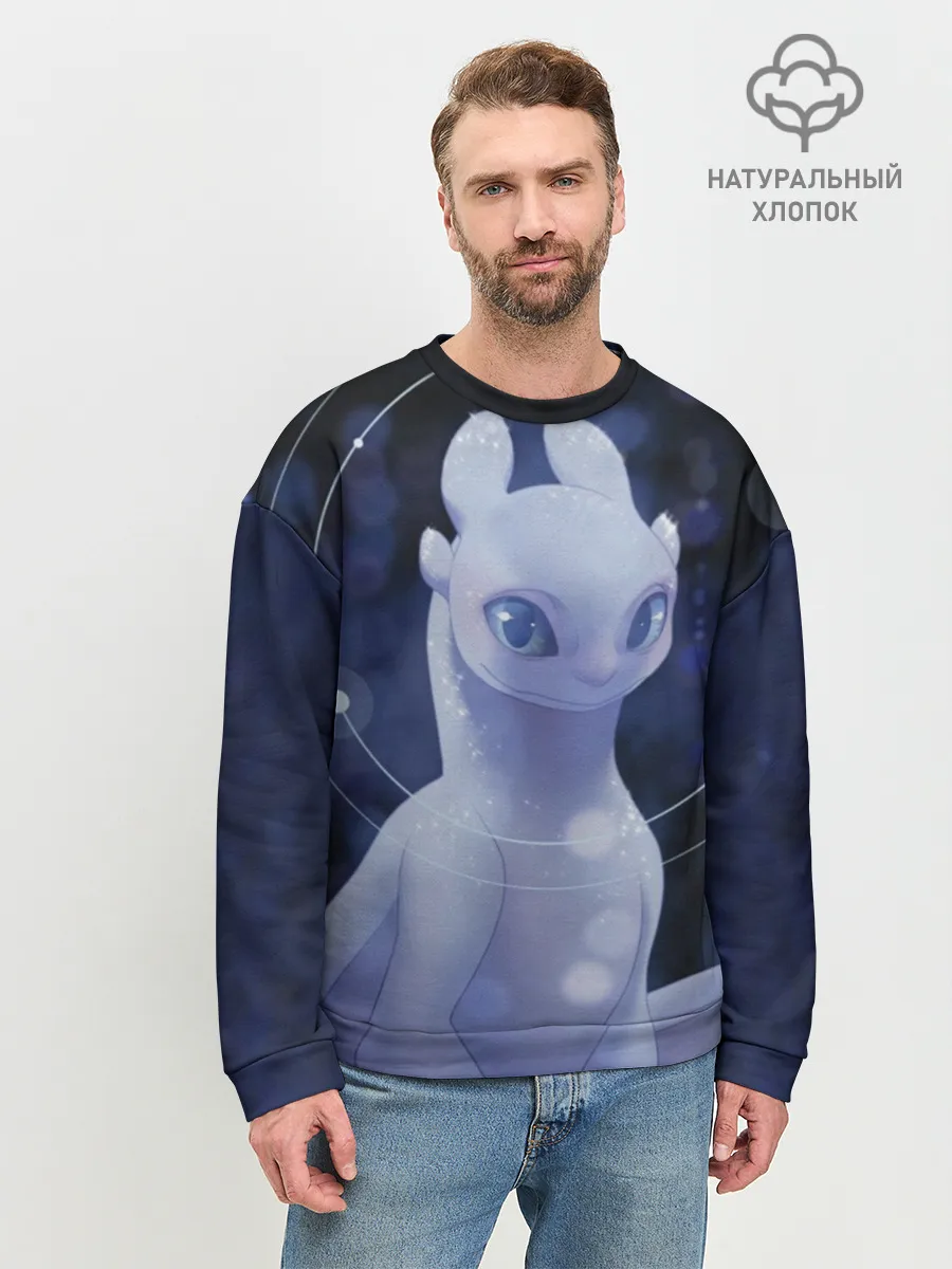 Мужской свитшот базовый / Как приручить дракона