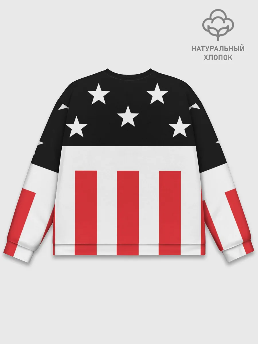 Мужской свитшот базовый / PRODIGY